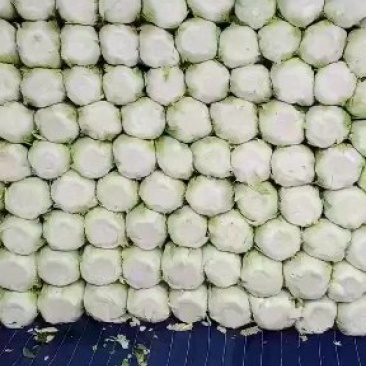 白菜太便宜了