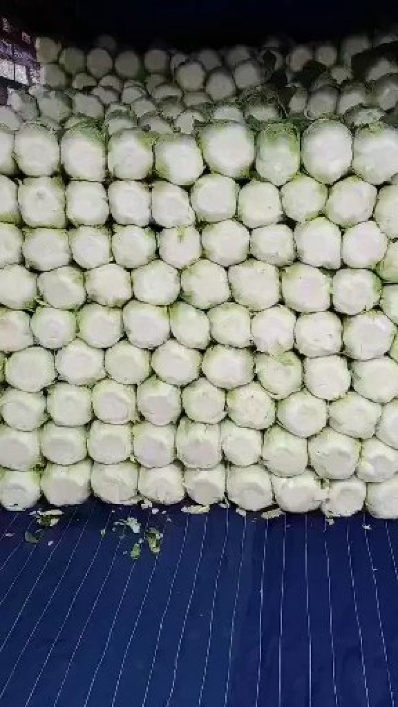 白菜太便宜了