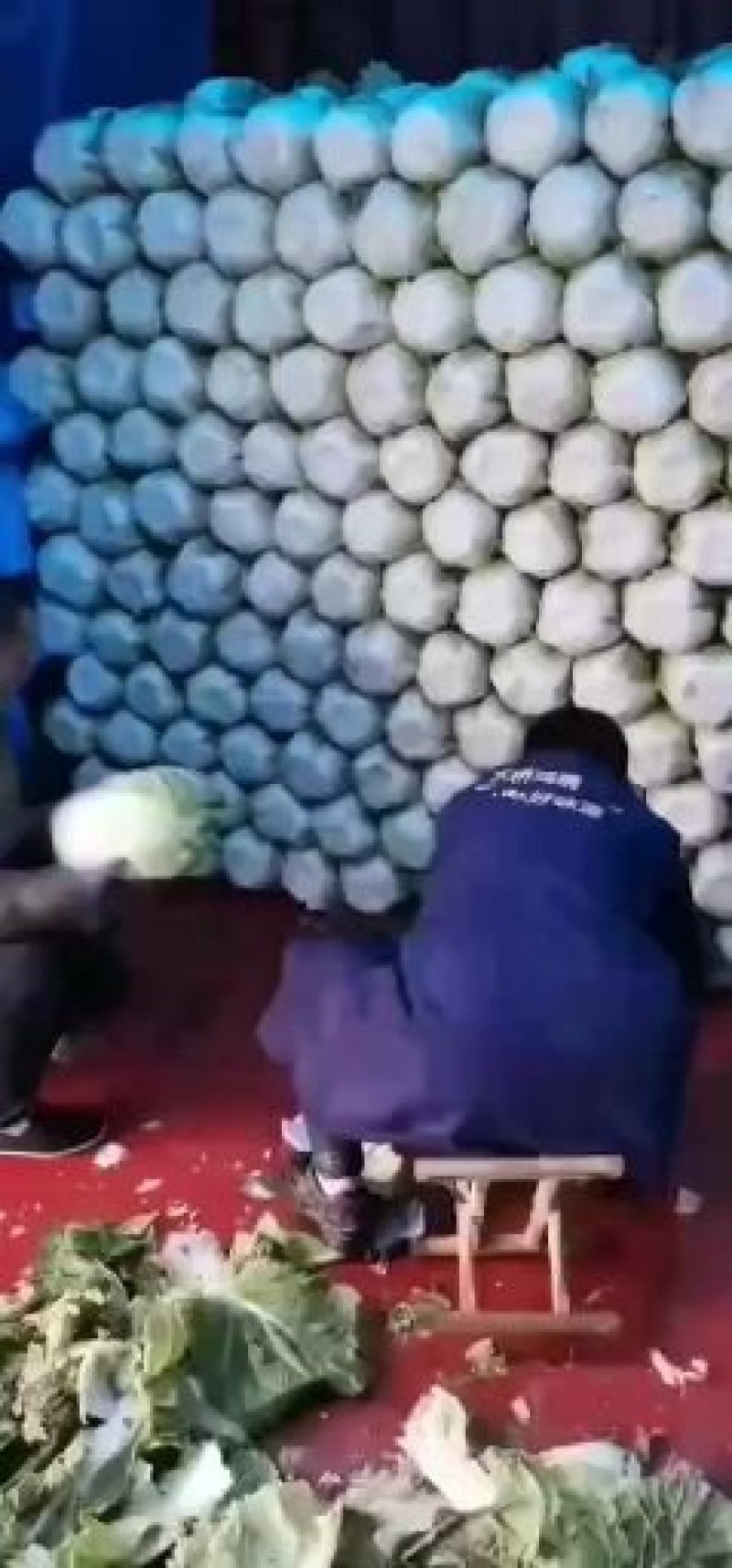 黄心白菜