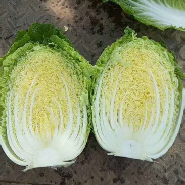 黄心白菜