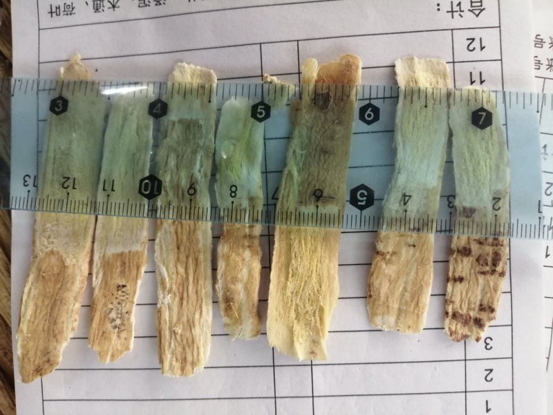 黄芪片，瓜子片、压片，无硫北芪片型好颜色靓干度好大量供应