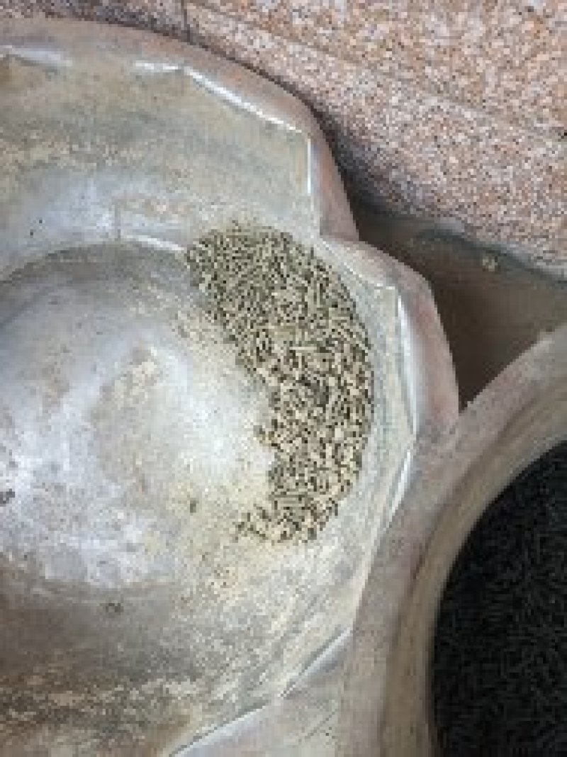 小型颗粒机