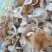 云南普洱野生香菌_鲜货