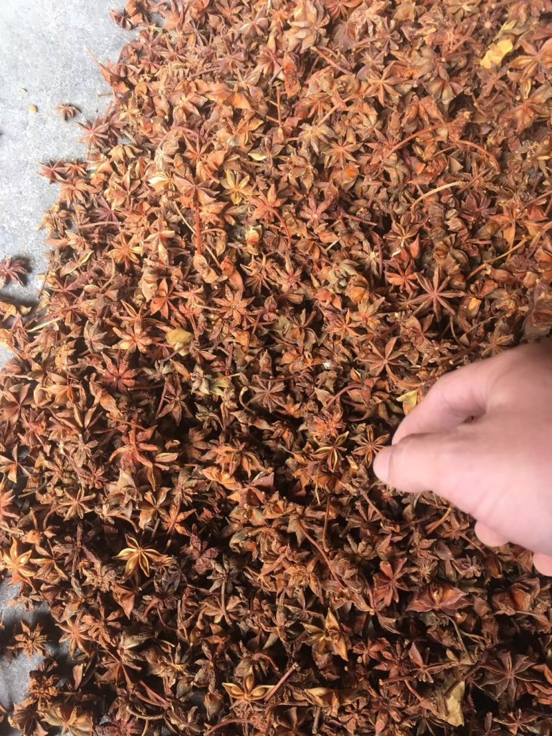 【广西特产】大红八角春花大料足干无硫新货产地一手货源
