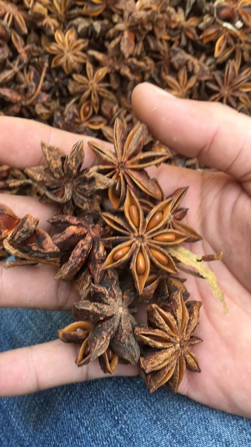 【广西特产】大红八角春花大料足干无硫新货产地一手货源