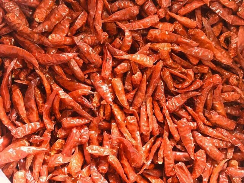 云南蔬菜，小米椒，辣椒，鲜辣椒，产区直销