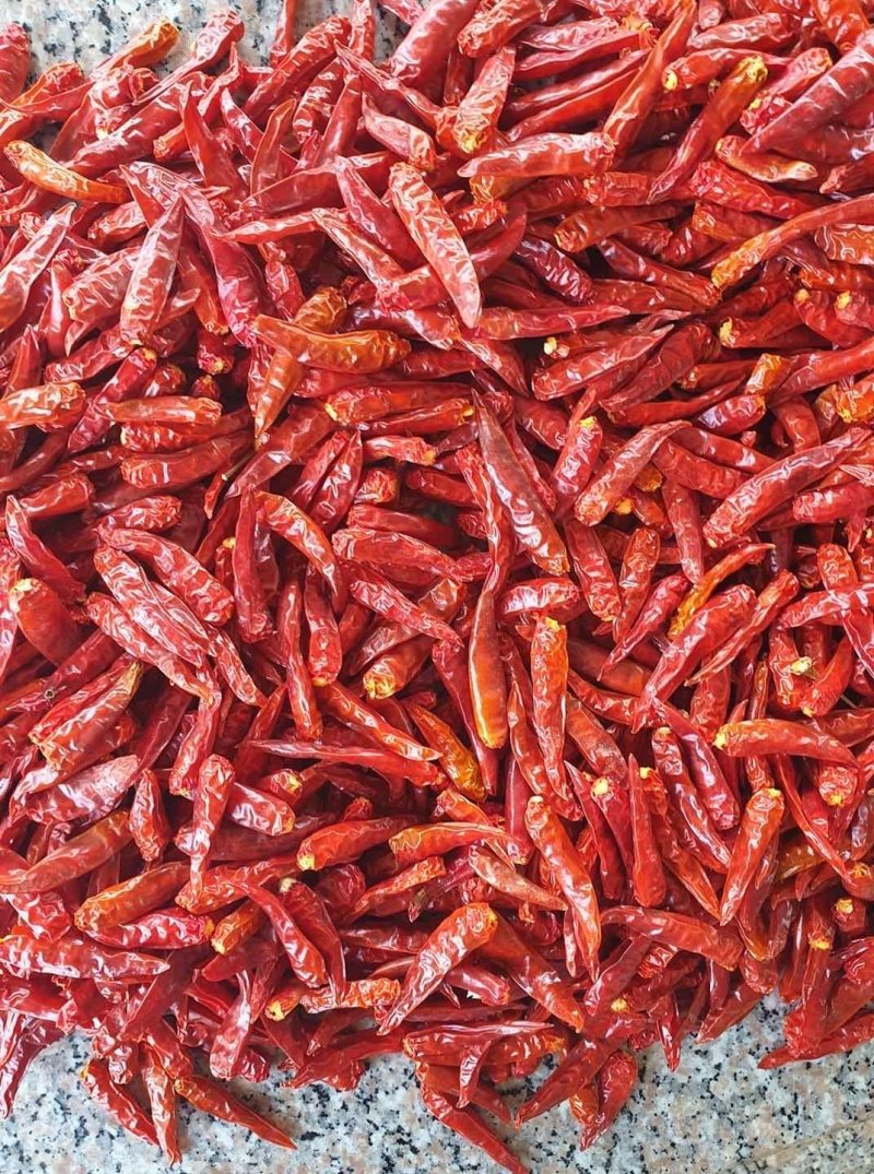云南蔬菜，小米椒，辣椒，鲜辣椒，产区直销