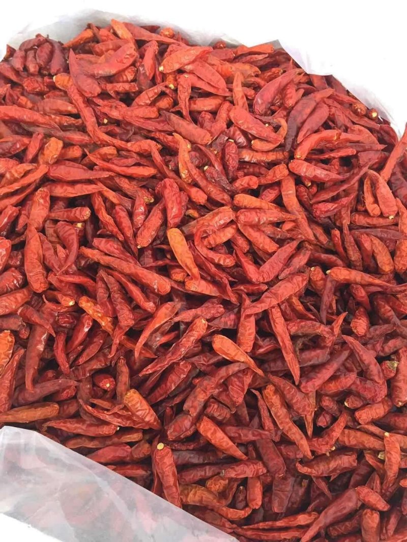 云南蔬菜，小米椒，辣椒，鲜辣椒，产区直销