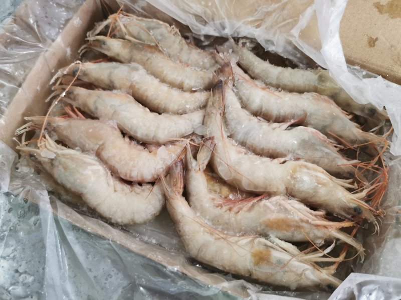 北海天然海捕麻虾