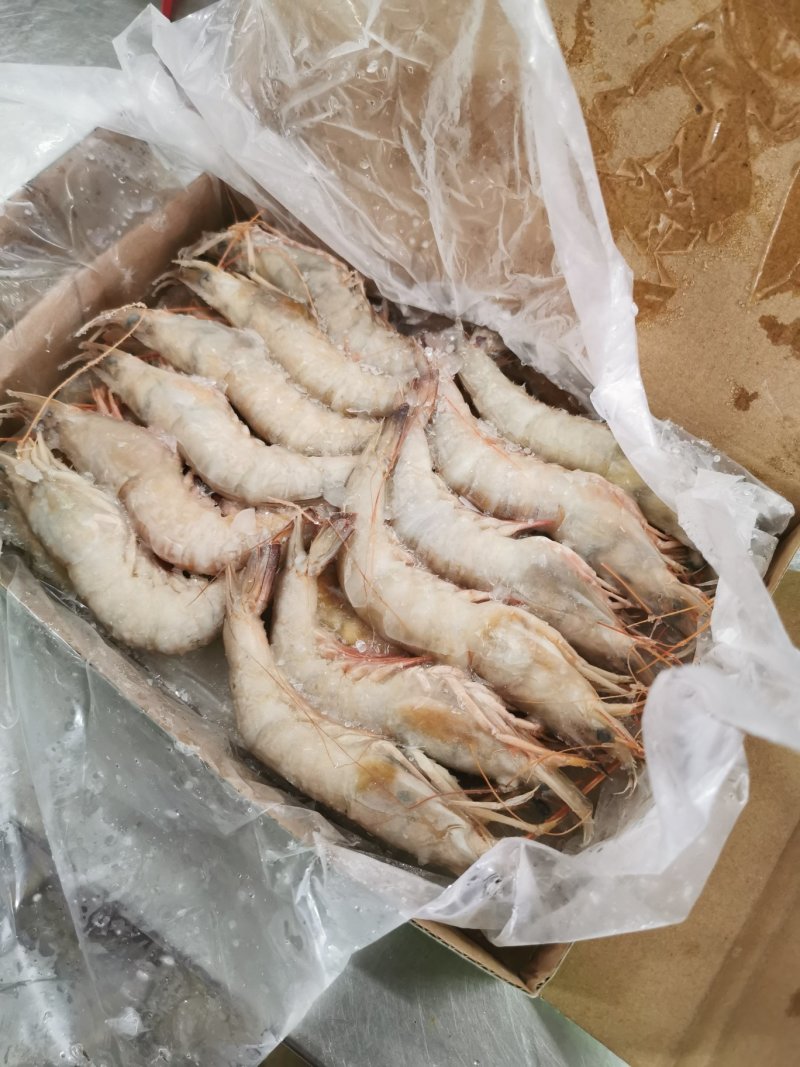 北海天然海捕麻虾