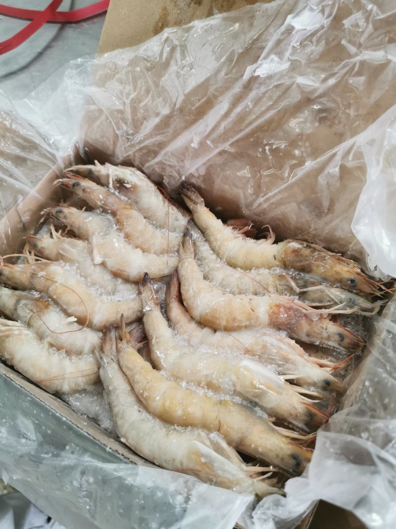 北海天然海捕麻虾
