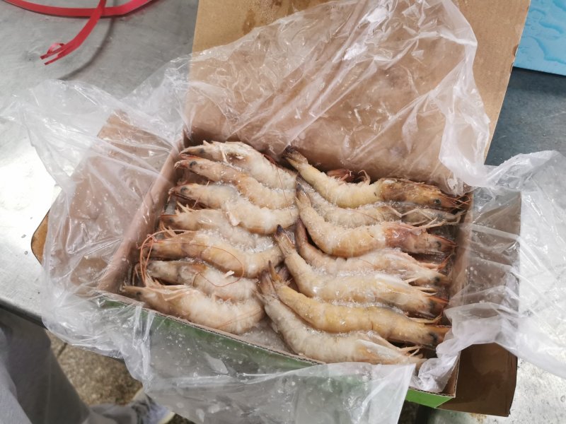 北海天然海捕麻虾