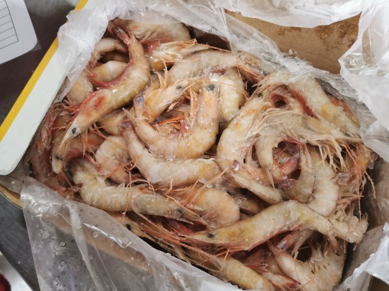 北海天然海捕麻虾