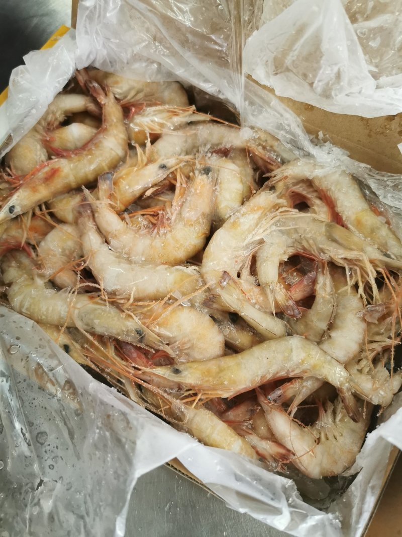 北海天然海捕麻虾