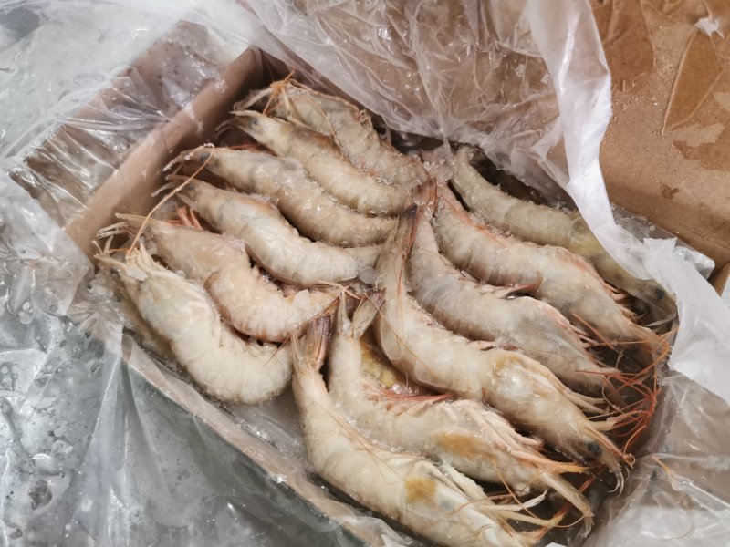 北海天然海捕麻虾