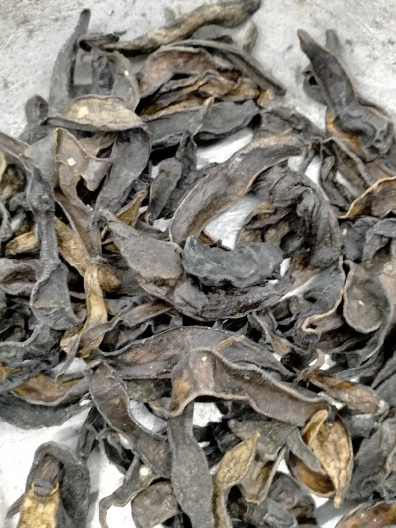 纯野生水蛭大货批发！产地直供！一手货源价格优