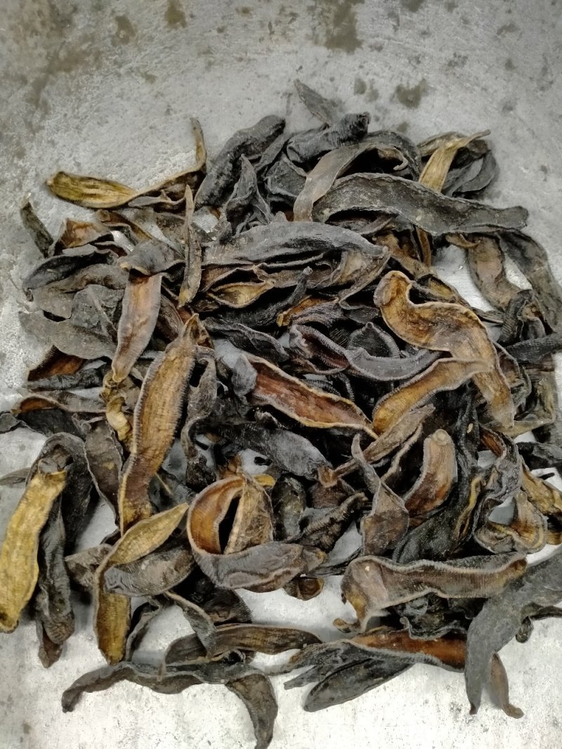 纯野生水蛭大货批发！产地直供！一手货源价格优