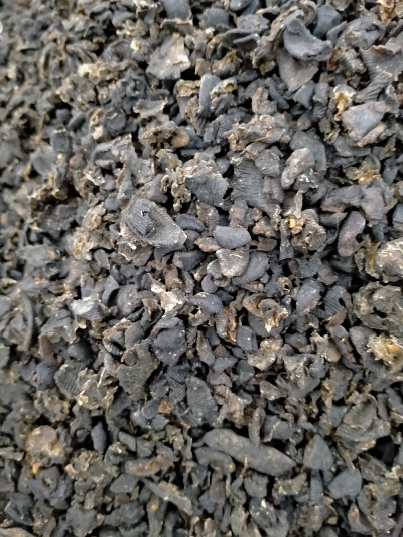 纯野生水蛭大货批发！产地直供！一手货源价格优
