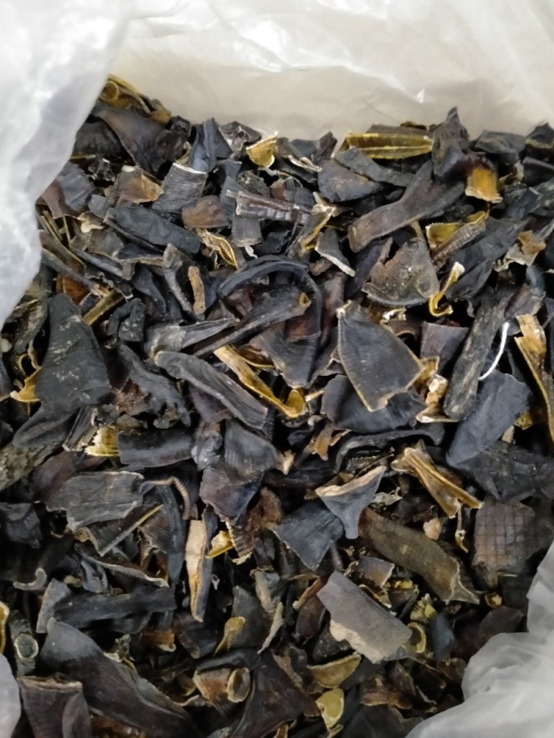 纯野生水蛭大货批发！产地直供！一手货源价格优
