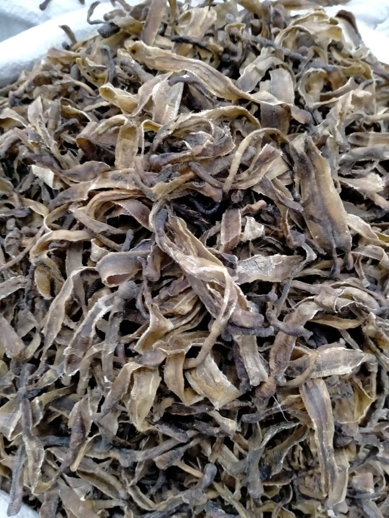 地龙！圆条丶半开丶全开产地直销一手货源价格优！