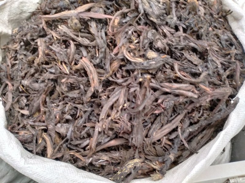 中药材紫草高含量大货批发！50公斤以上物流包邮！