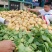 新野精品土豆已经大量上市了，欢迎实地考察。