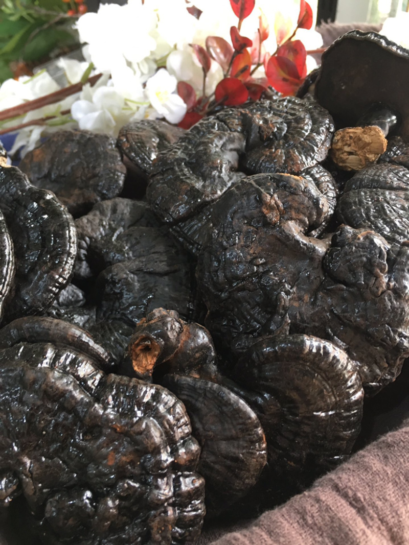 黑灵芝微商电商实体淘货源专业保密一件代发专注批发