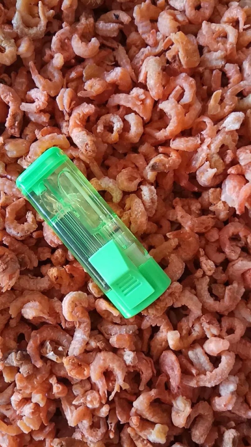 金钩海米（山东虾仁）货源可视频看货，量大从优