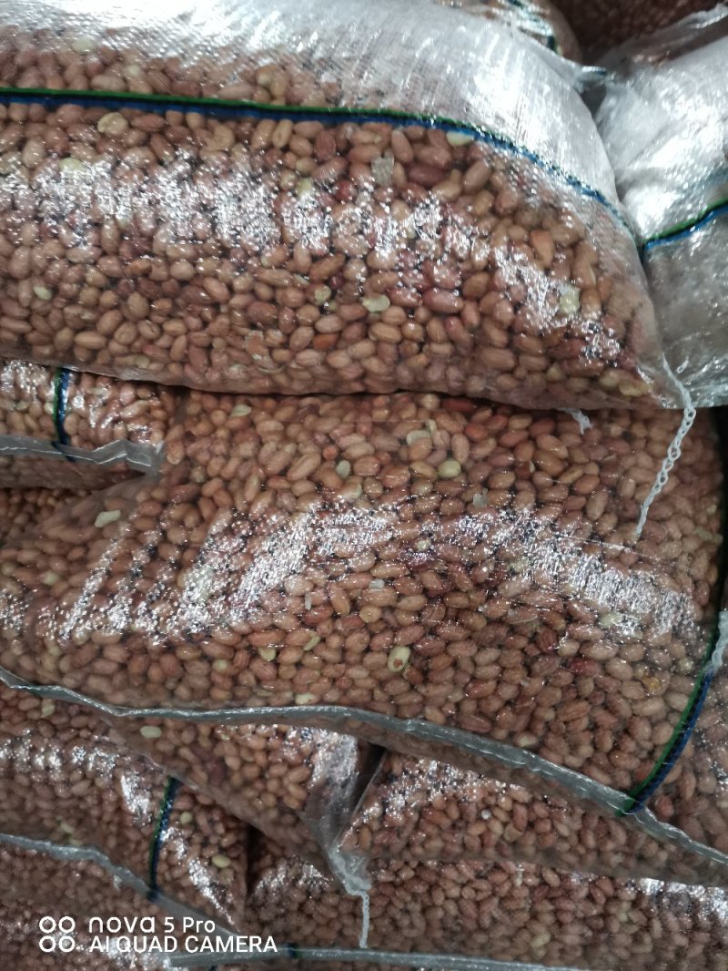 河南精品花生米，各种精选米，商品米，油料米，