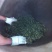 普洱百年古茶，每一道工序自己精心制作