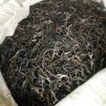 普洱百年古茶，每一道工序自己精心制作
