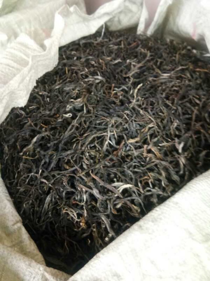 普洱百年古茶，每一道工序自己精心制作