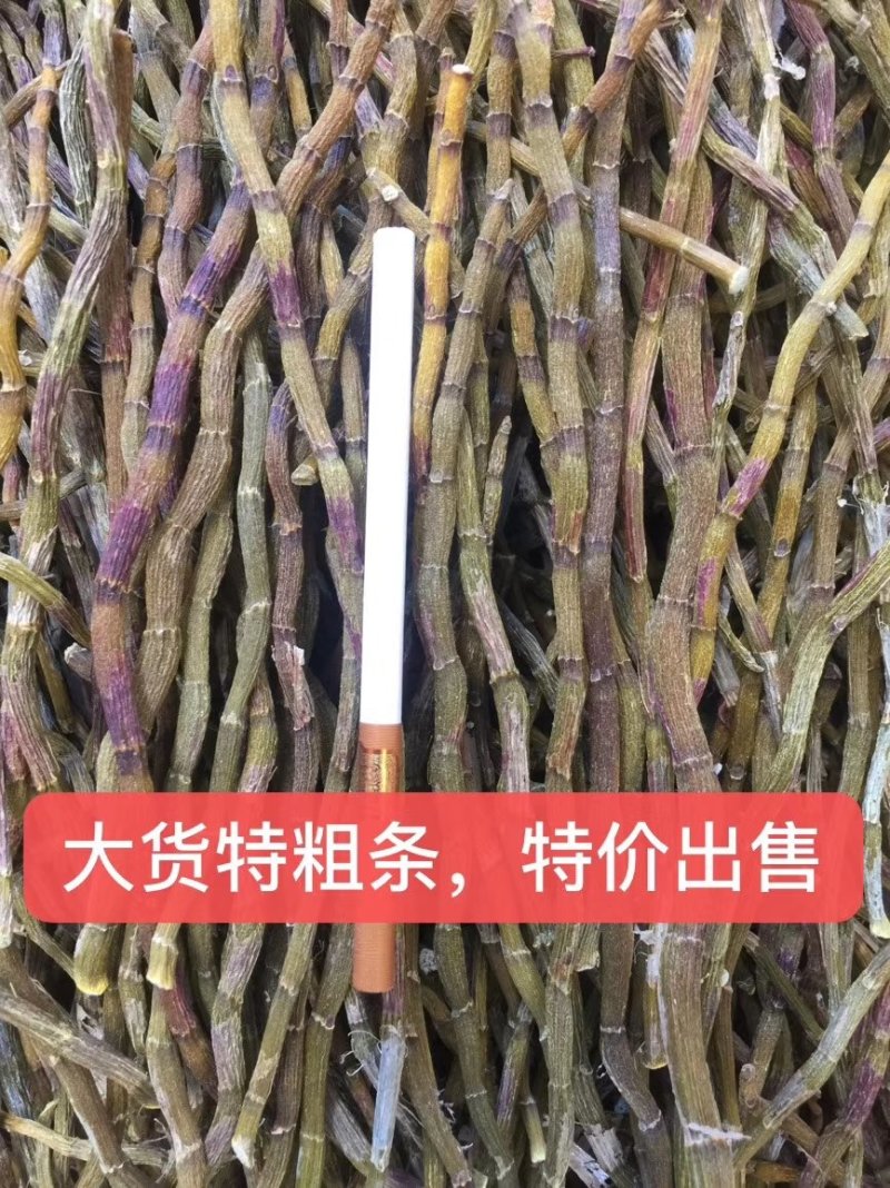 【产地直销】高品质浙江品种，饱满、胶好、化渣石斛干条