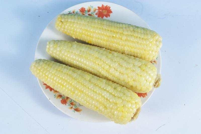 玉米，甜糯玉米，非转基因，一袋4只装，一箱20袋