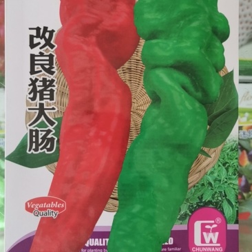 改良猪大肠辣椒种子
