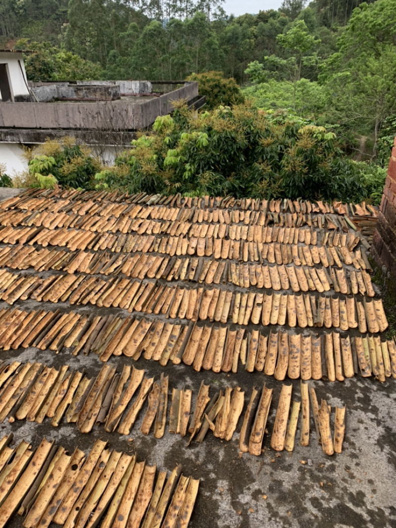 深山老林桂皮