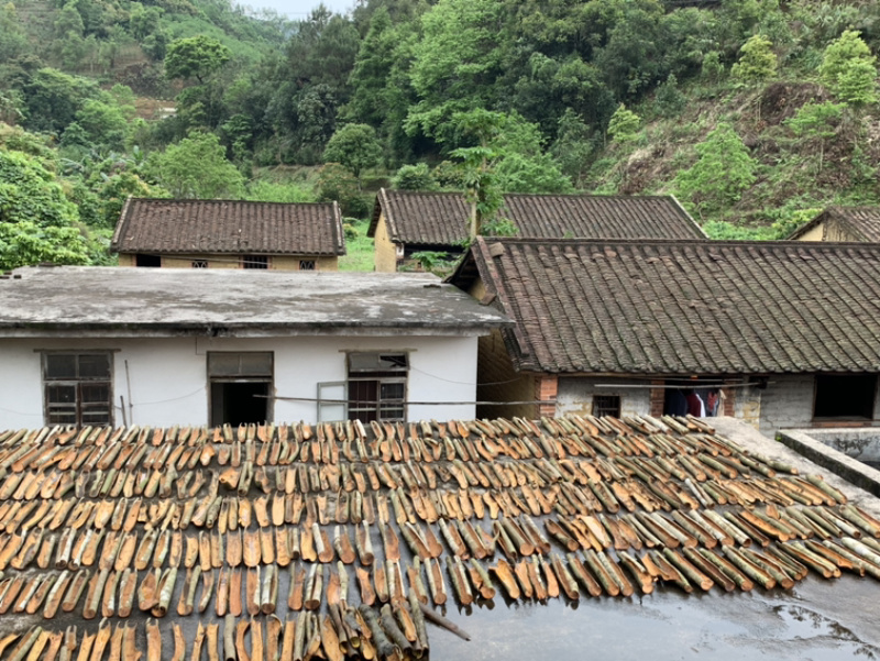 深山老林桂皮