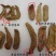 神龙架纯野生天麻干货干品实图拍摄发货各种规格量大从优