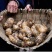 神龙架纯野生天麻干货干品实图拍摄发货各种规格量大从优