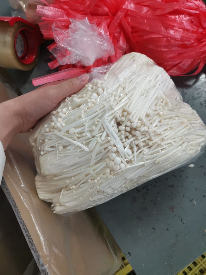 食用菌鲜货