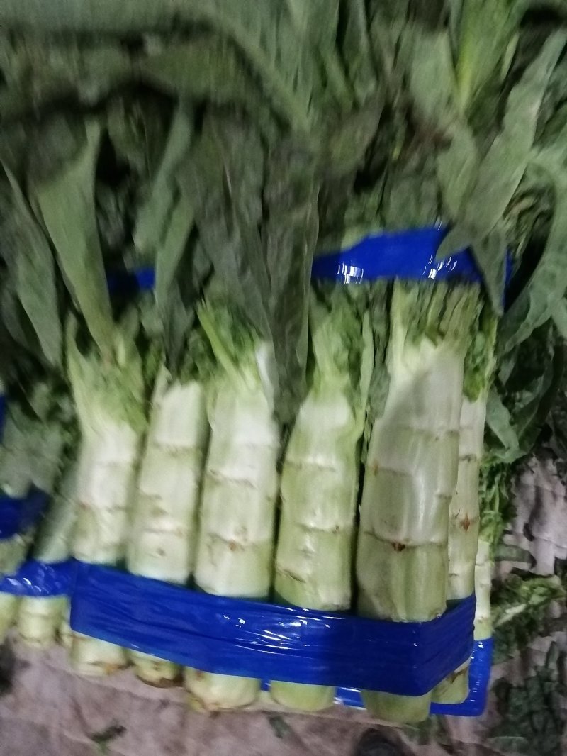 红叶莴笋大量上市，真诚期待你们的光临