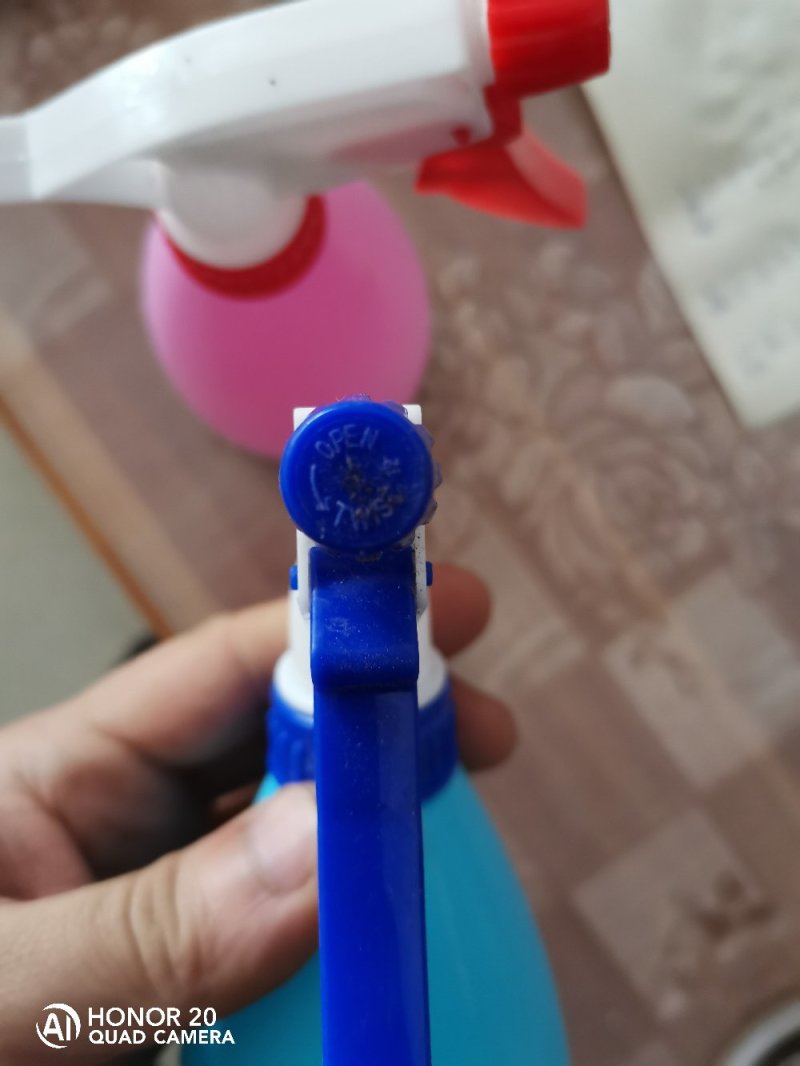 手持式糖果色小喷壶喷头可调能喷雾能喷直线