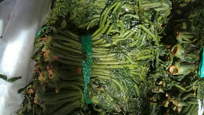 大量出售香椿芽咸菜，常年供货寻全国各地批发商，代理商