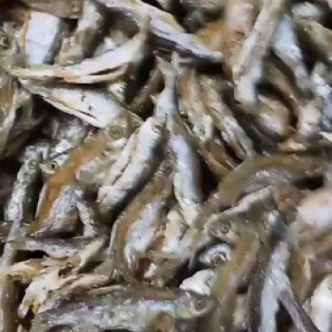 鱼干泥鳅干。