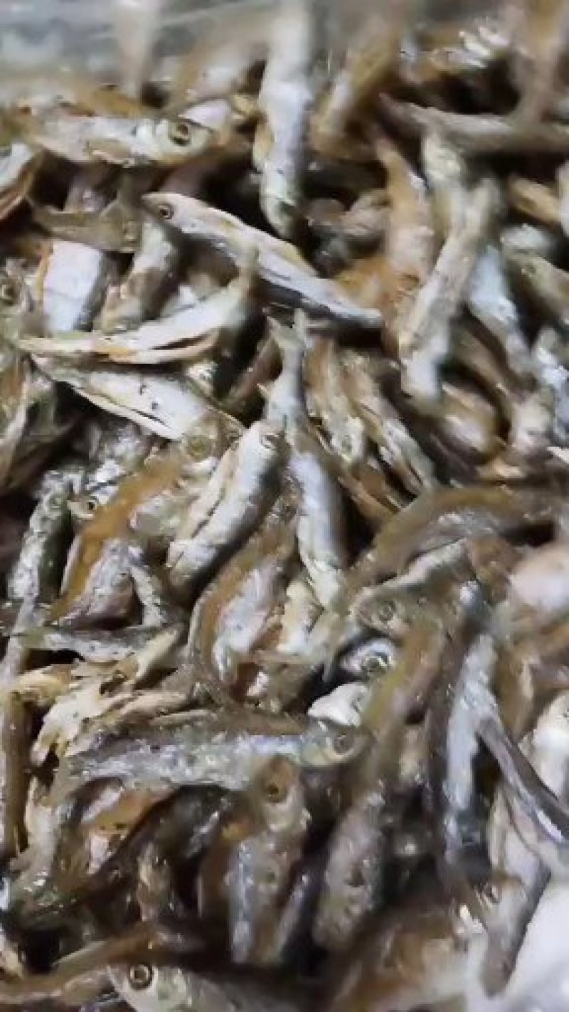 鱼干泥鳅干。