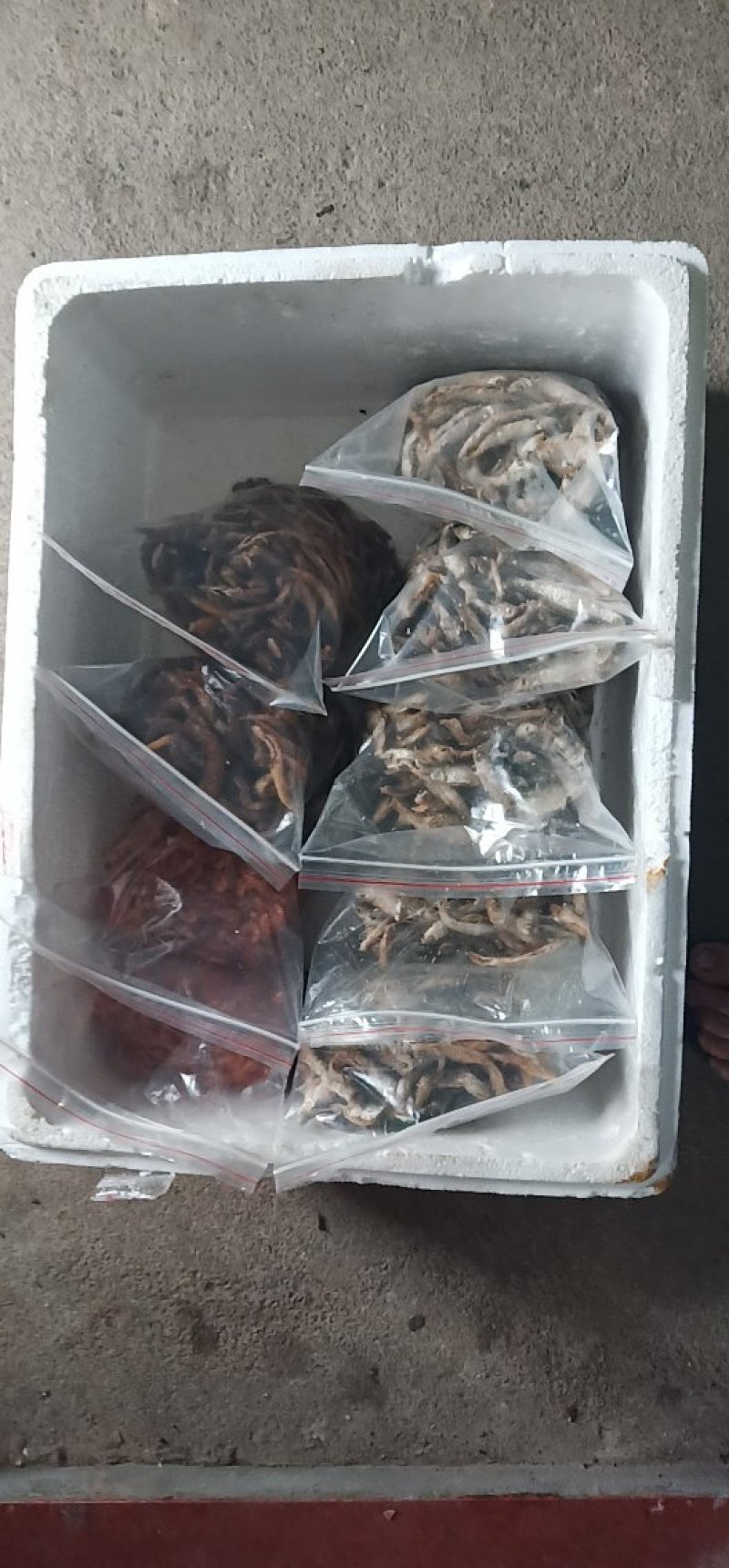 鱼干泥鳅干。