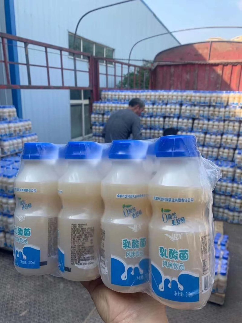 跑地摊展会热卖成都达利园乳酸菌饮料草莓味原味可以视频看货