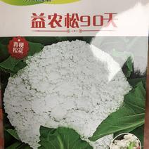 【🔥花菜种子】台湾青梗松花菜种子大球型,量大从优