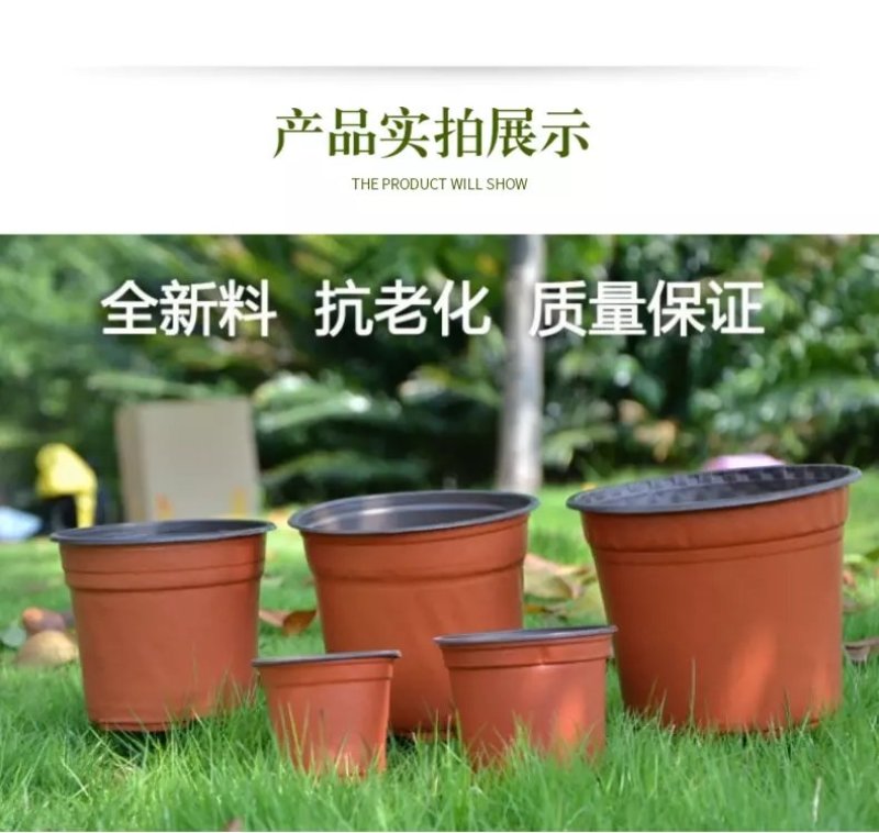 优质双色盆，塑料花盆，质优价廉，各大种植园都在用