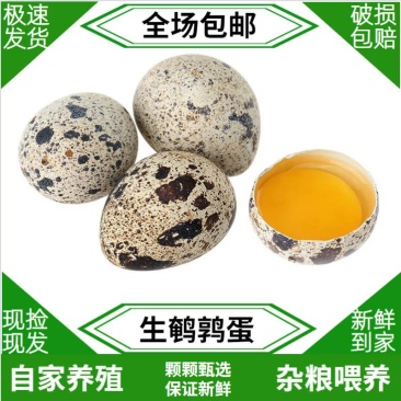 生鹌鹑蛋新鲜一件代发现捡现发24小时承诺发货